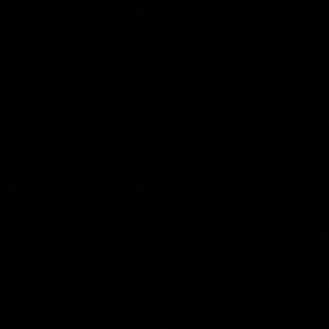 Meet your Posher, Halie